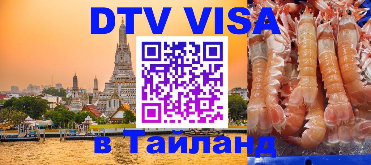 Оформление DTV визы под ключ: стоимость и тарифы, только загранпаспорт - Краснодар  21.11.2025 